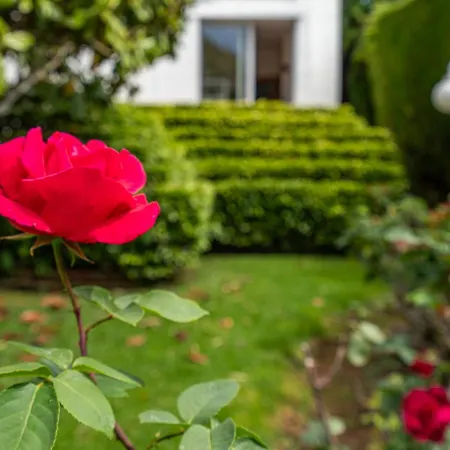 Casa Mediterranea Con Jardin Y Piscina Privada * Masnou